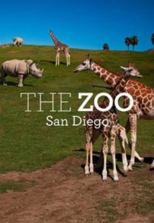 The Zoo: San Diego