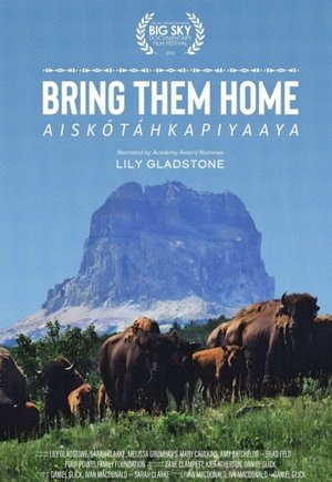 Bring Them Home