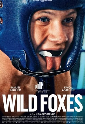 Wild Foxes
