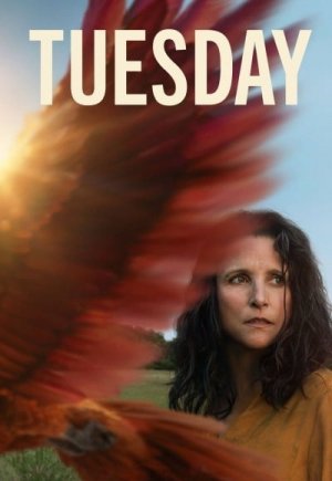 Tuesday